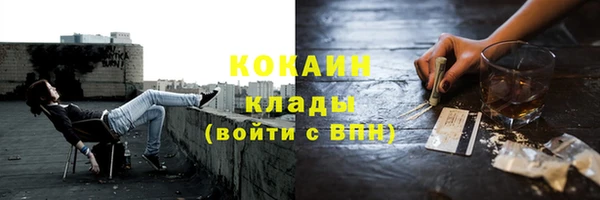 дмт Ладушкин