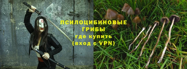 трава Кулебаки